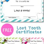 Lost Tooth Certificate | New England Teacher | Tooth Fairy   Free Printable First Lost Tooth Certificate