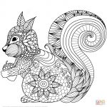 Lovely Squirrel Zentangle Coloring Page | Free Printable Coloring Pages   Free Printable Zen Coloring Pages