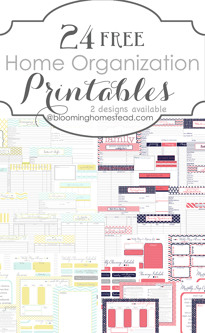 More Than 200 Free Home Management Binder Printables | Fab N&amp;#039; Free - Free Printable Home Organization Worksheets