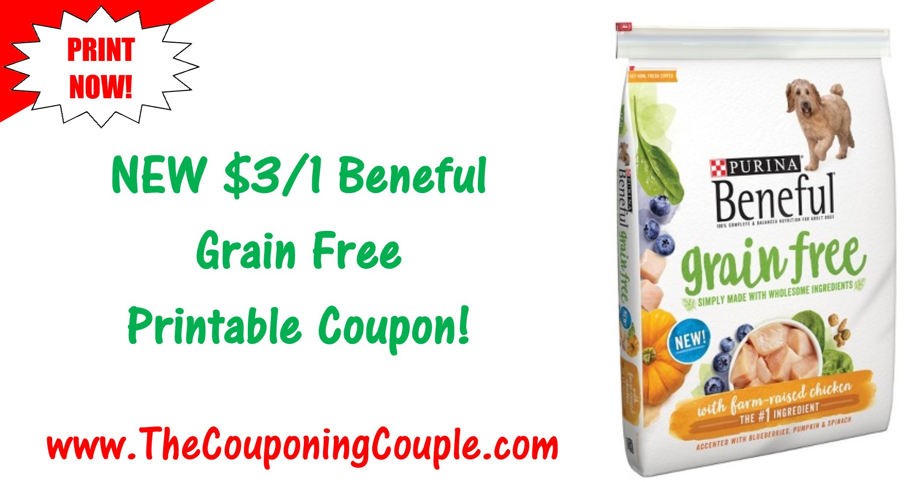 New Beneful Printable Coupon ~ $3.00/1 Beneful Grain Free Dog Food! - Free Printable Dog Food Coupons