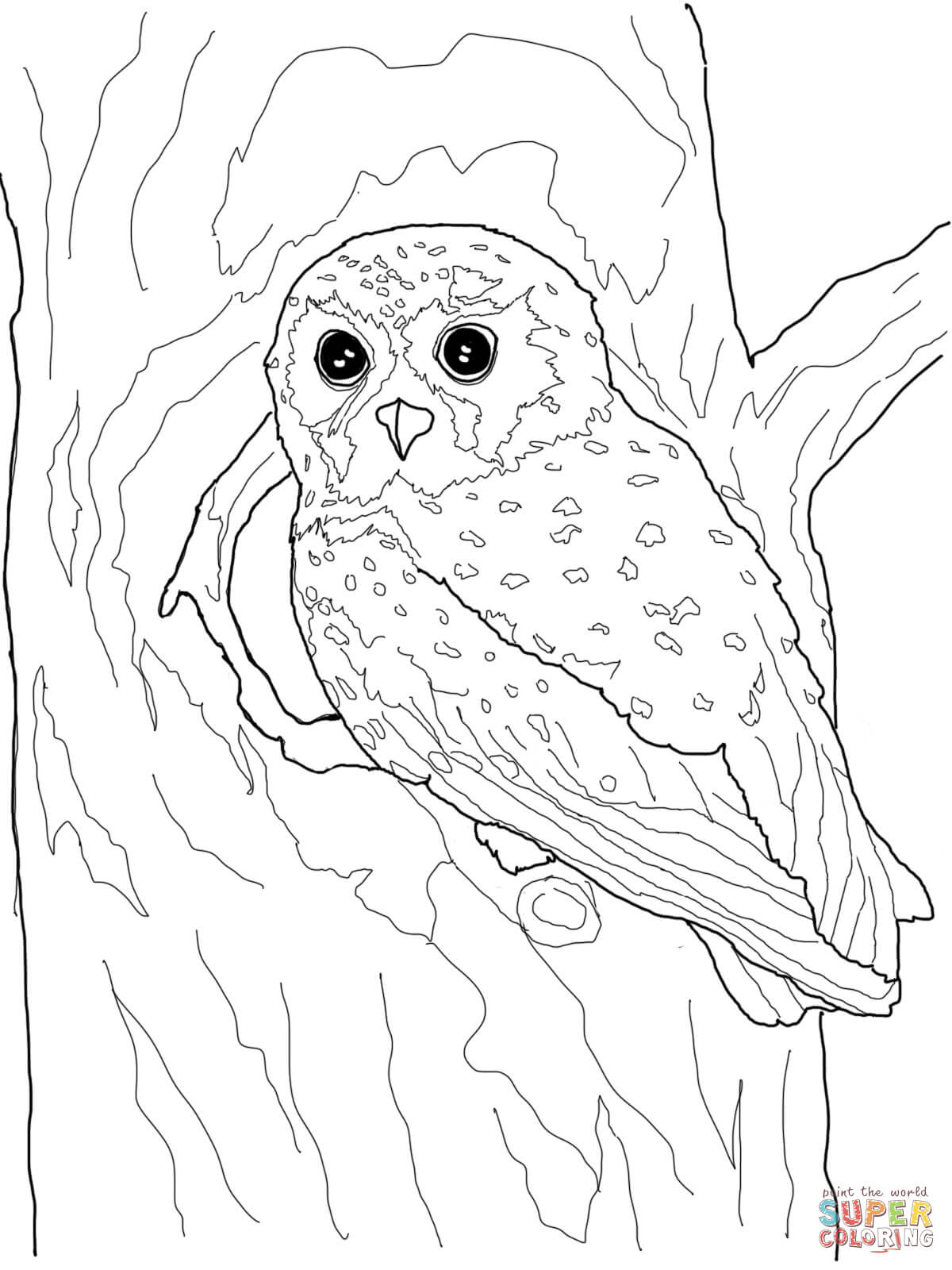 Owls Coloring Pages | Free Coloring Pages - Free Printable Owl Coloring Sheets