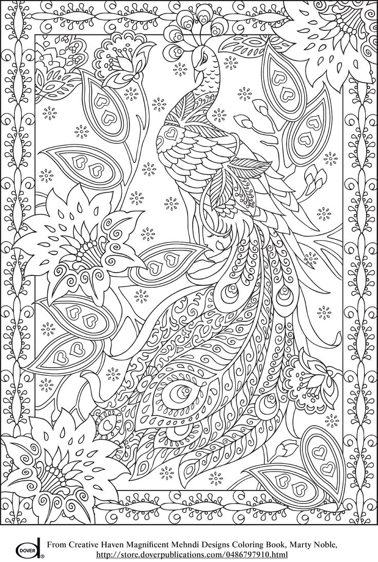 Peacock Feather Coloring Pages Colouring Adult Detailed Advanced - Free Printable Coloring Designs For Adults