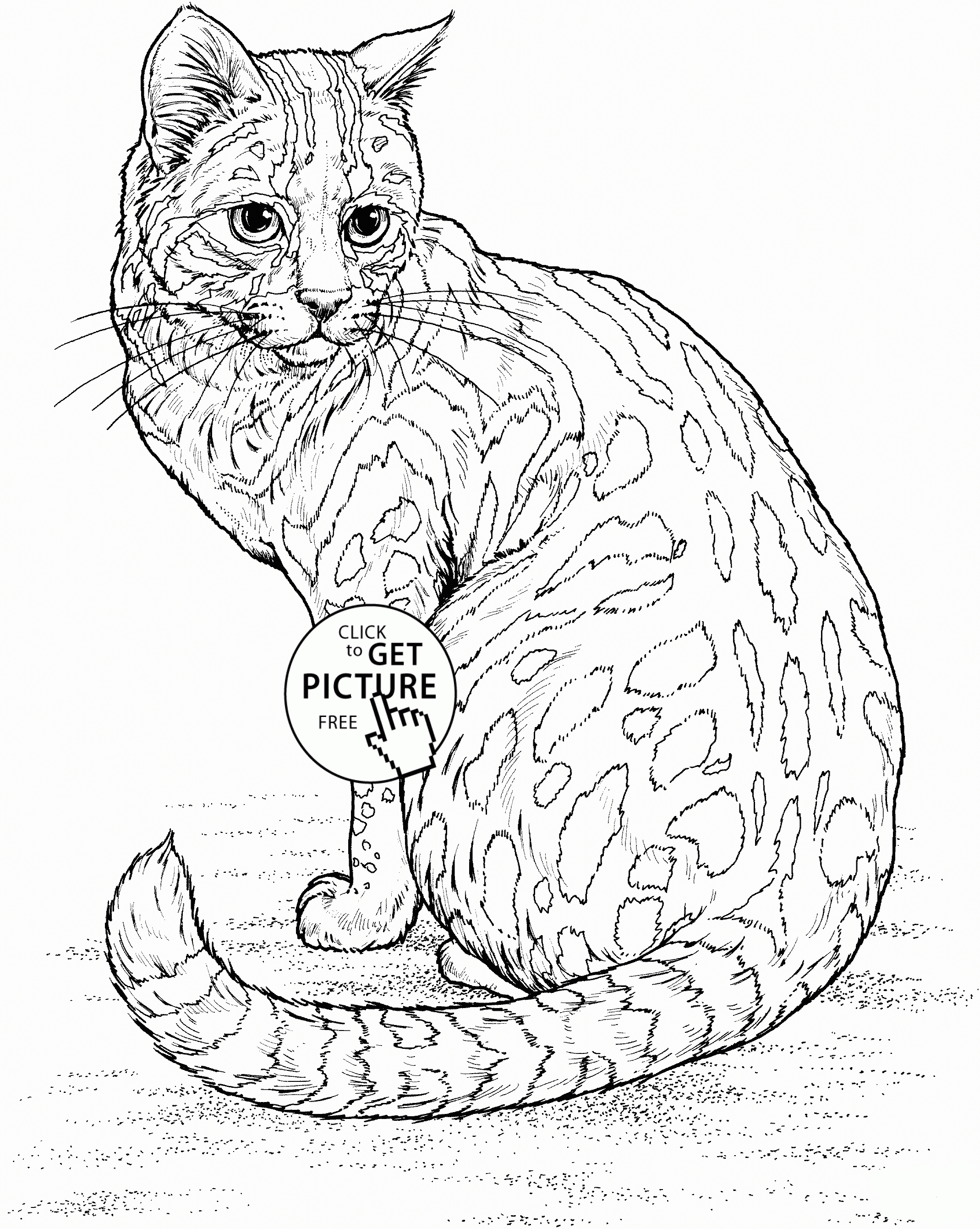 Realistic Cat Coloring Page For Kids, Animal Coloring Pages - Free Printable Realistic Animal Coloring Pages