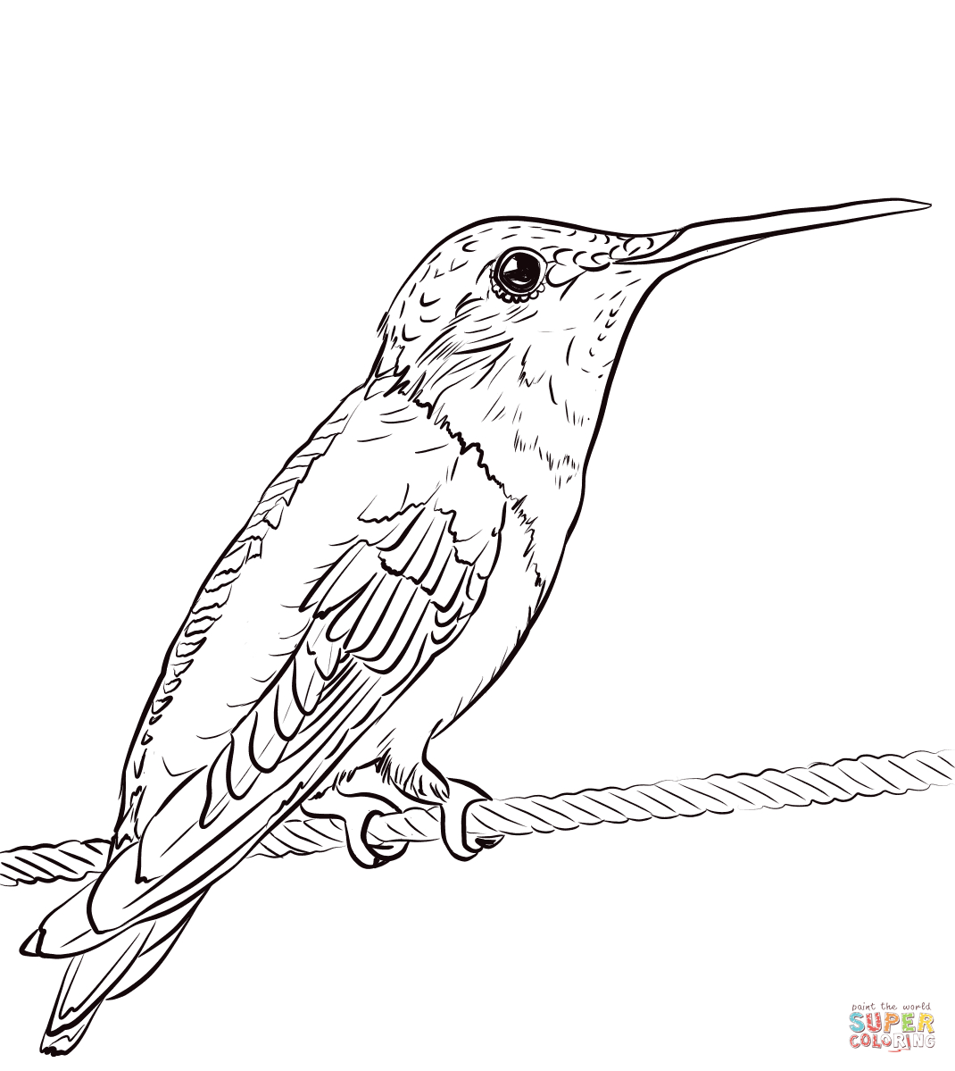 Ruby-Throated Hummingbird Coloring Page | Free Printable Coloring Pages - Free Printable Pictures Of Hummingbirds