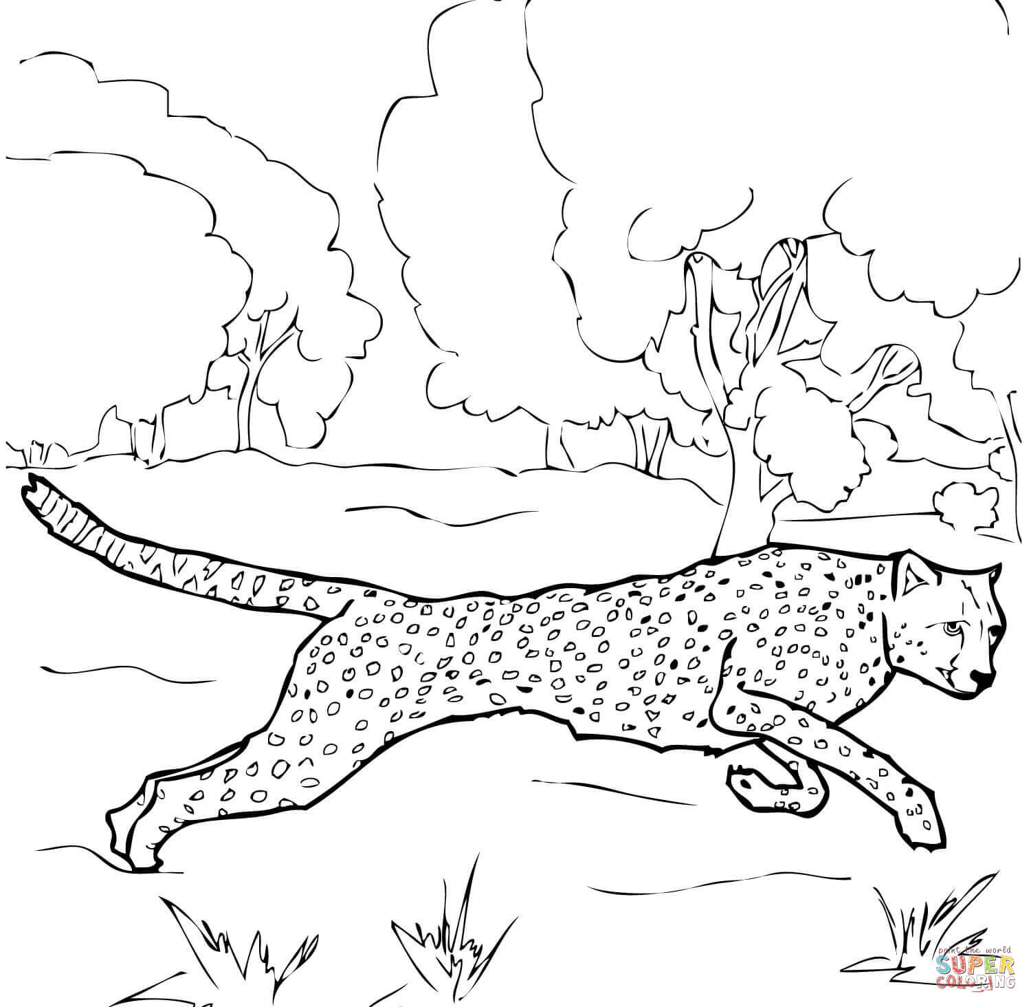 Running Cheetah Coloring Page | Free Printable Coloring Pages - Free Printable Cheetah Pictures