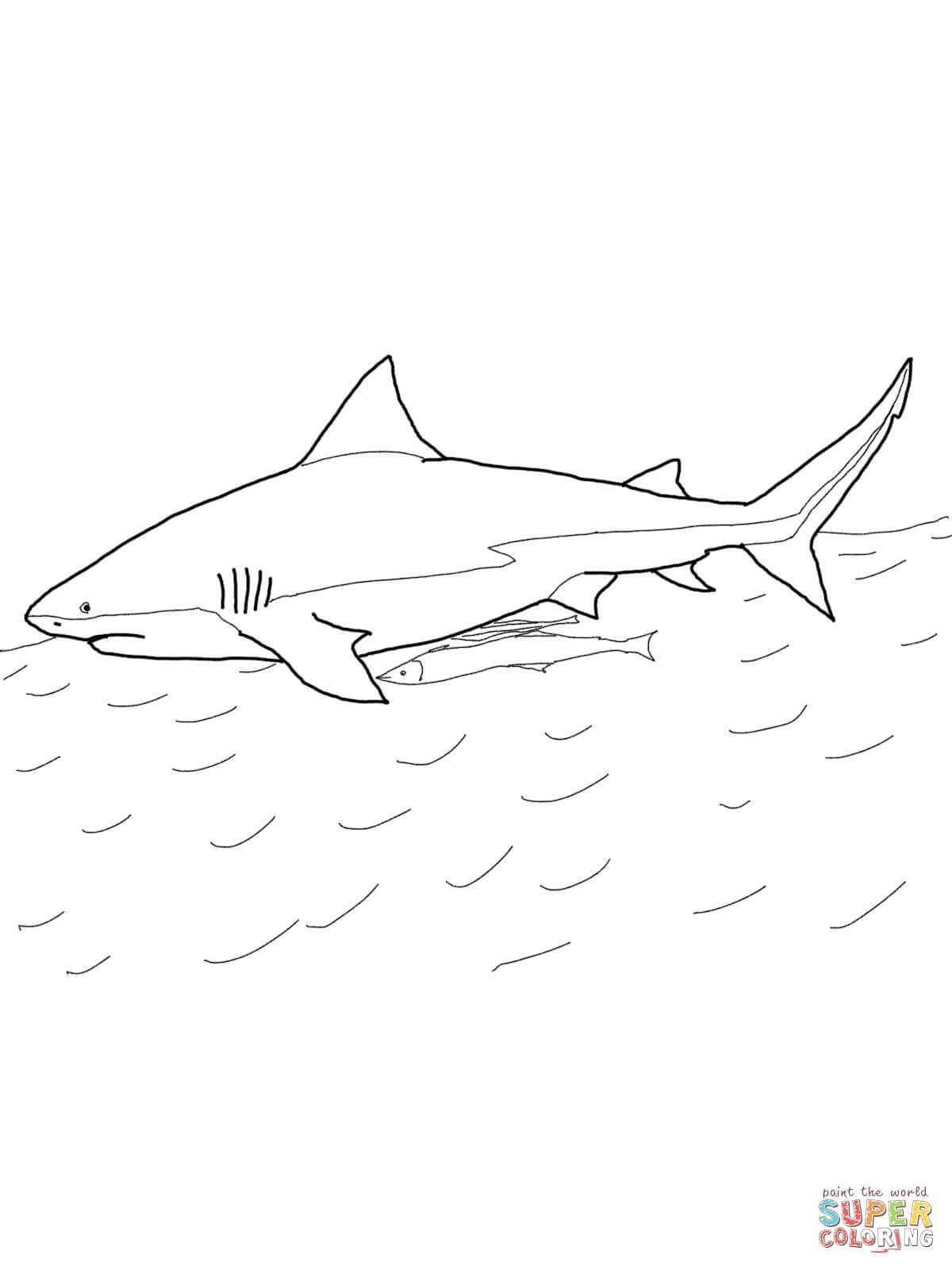 Sharks Coloring Pages Free Coloring Pages | Shark Coloring Pages - Free Printable Shark Coloring Pages