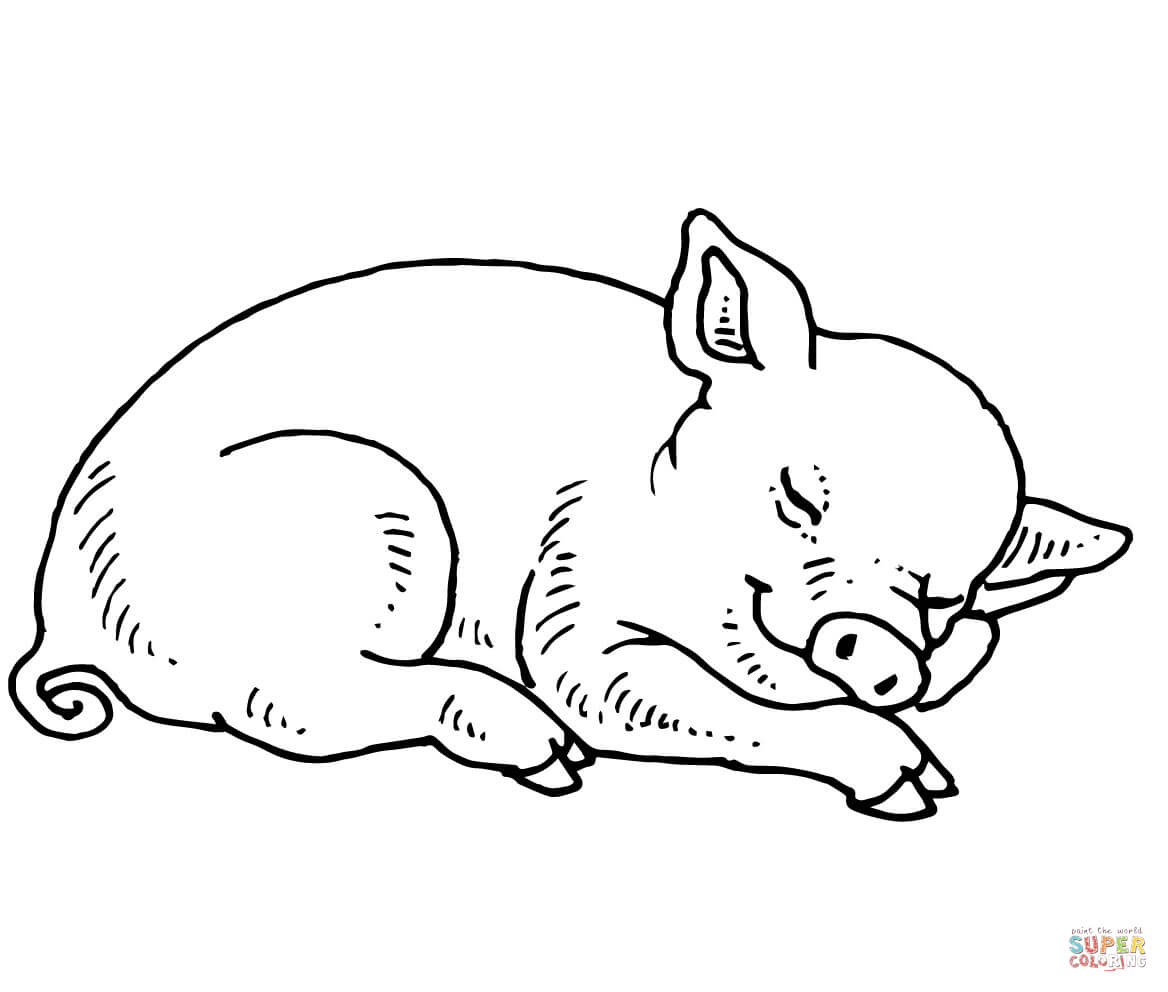 Sleeping Baby Pig Coloring Page | Free Printable Coloring Pages - Pig Coloring Sheets Free Printable