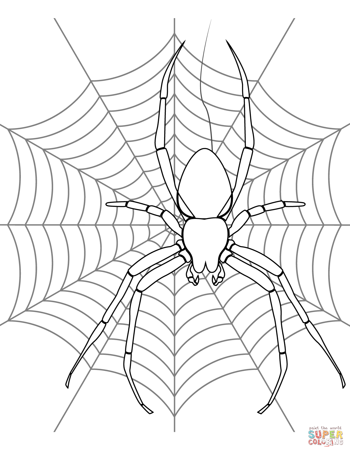 Spider On Its Web Coloring Page | Free Printable Coloring Pages - Free Printable Spider Web