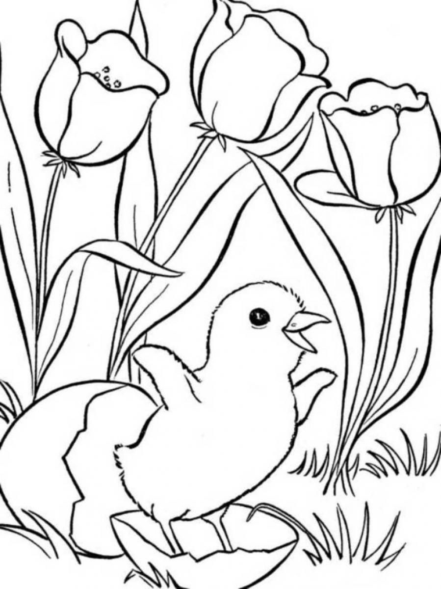 Spring Coloring Pages, Printable Spring Coloring Pages, Free Spring - Free Printable Spring Coloring Pages For Adults