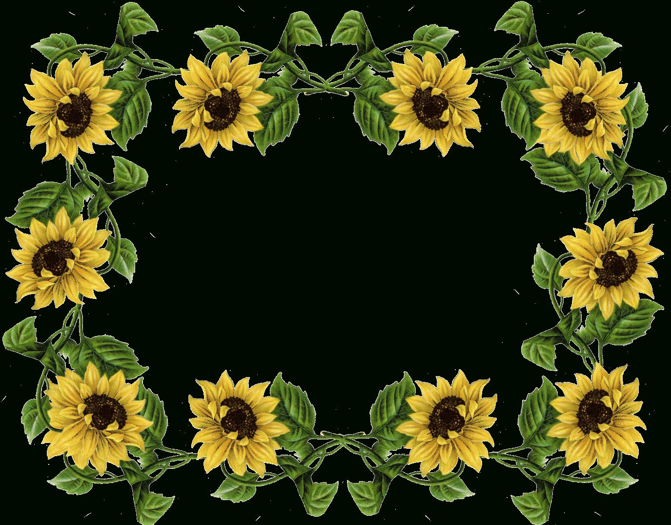 Sunflower Border Clip Art Free Clipart Collection - Free Printable Sunflower Stationery