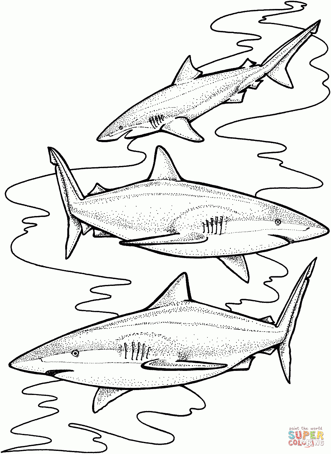 Three Tiger Sharks Coloring Page | Free Printable Coloring Pages - Free Printable Shark Coloring Pages