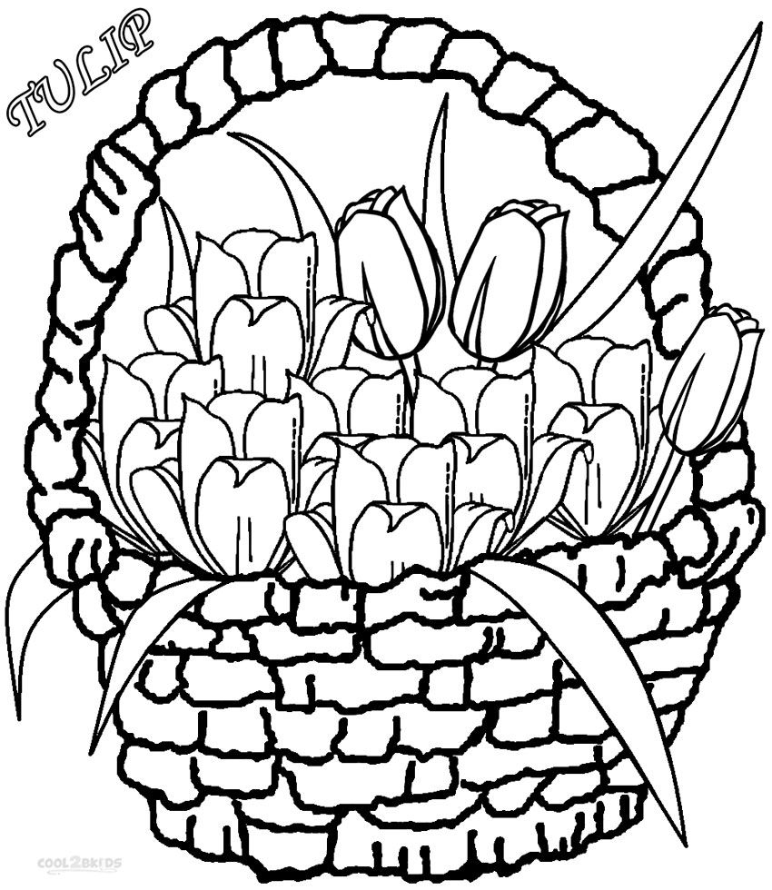 Tulip Coloring Pages Free Printable 850×980 Attachment - Lezincnyc - Free Printable Tulip Coloring Pages