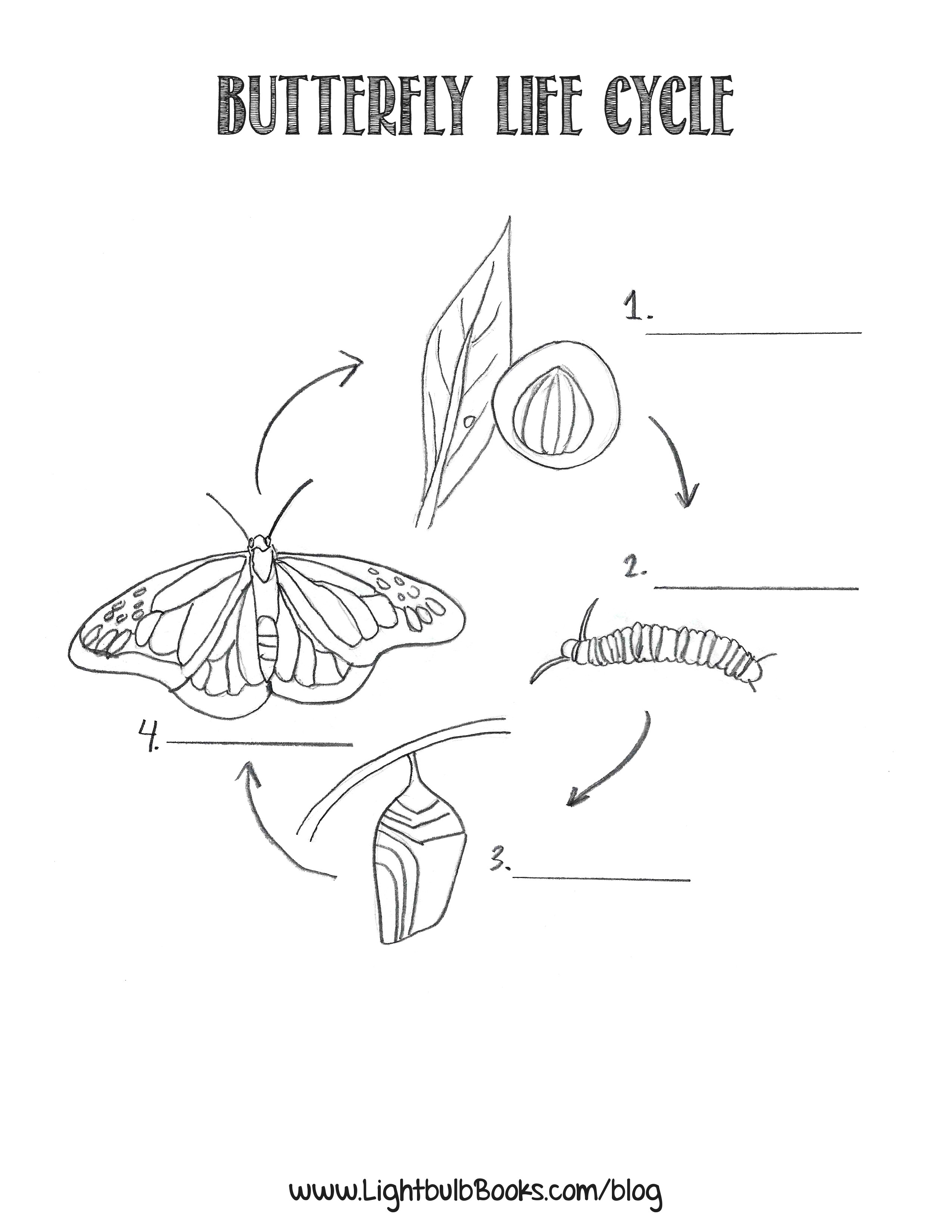 Worksheet : Life Cycle Of Butterfly Photo The Create Webquest For - Life Cycle Of A Frog Free Printable Book
