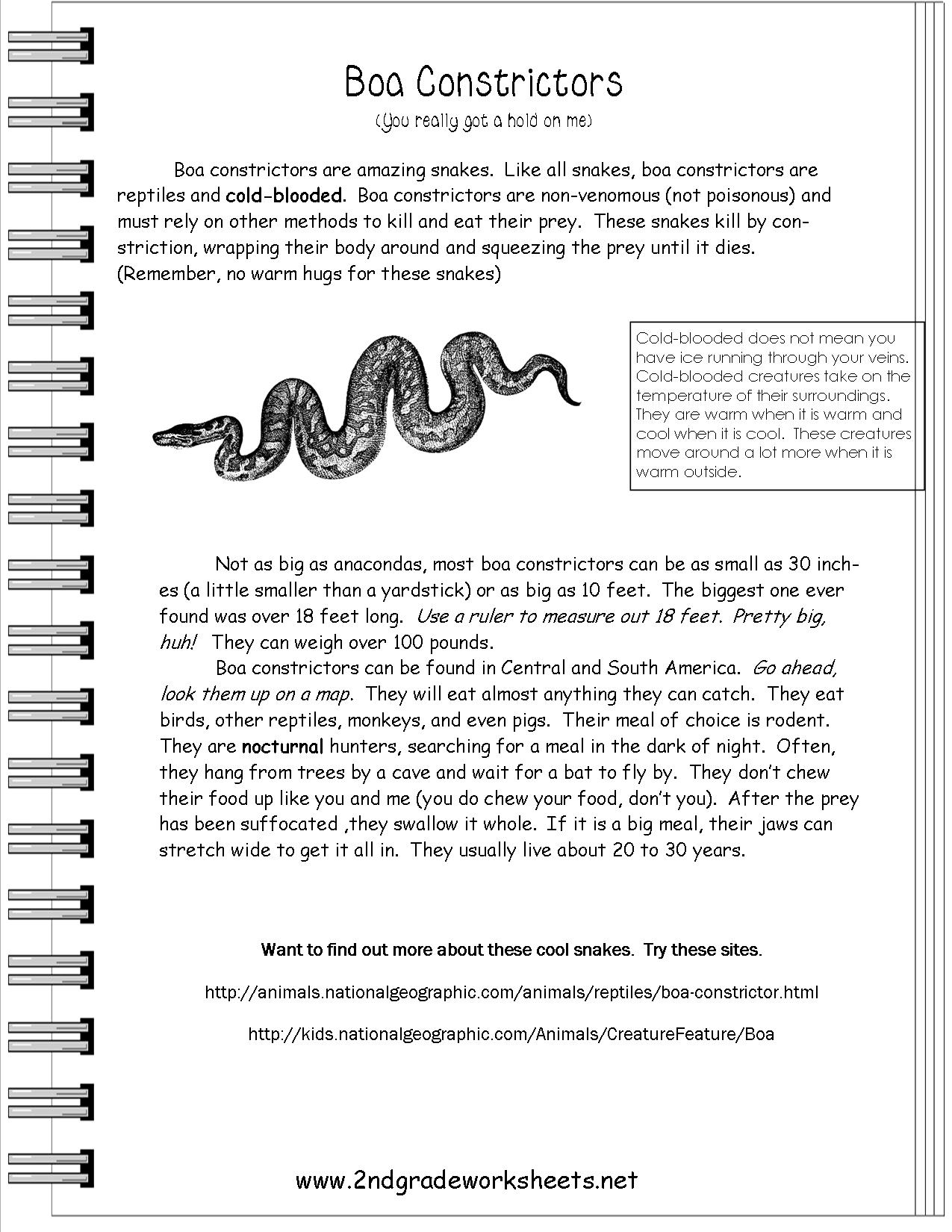 Worksheet. Sequencing Worksheets 2Nd Grade. Worksheet Fun Worksheet - Free Printable Sequencing Worksheets 2Nd Grade