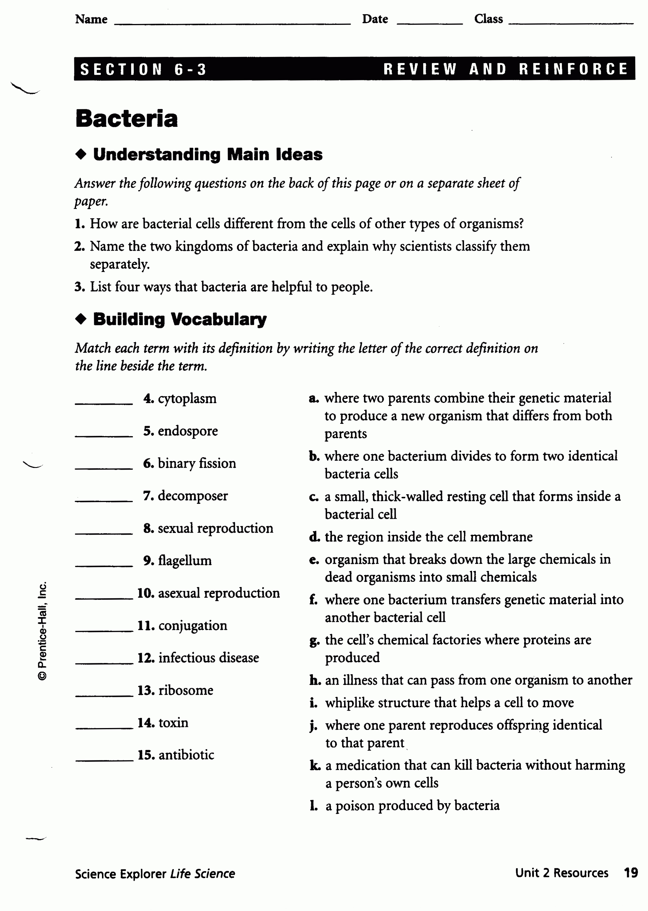 Worksheets Bacteria And Viruses Worksheet Worksheets Viruses - 9Th Grade Science Worksheets Free Printable