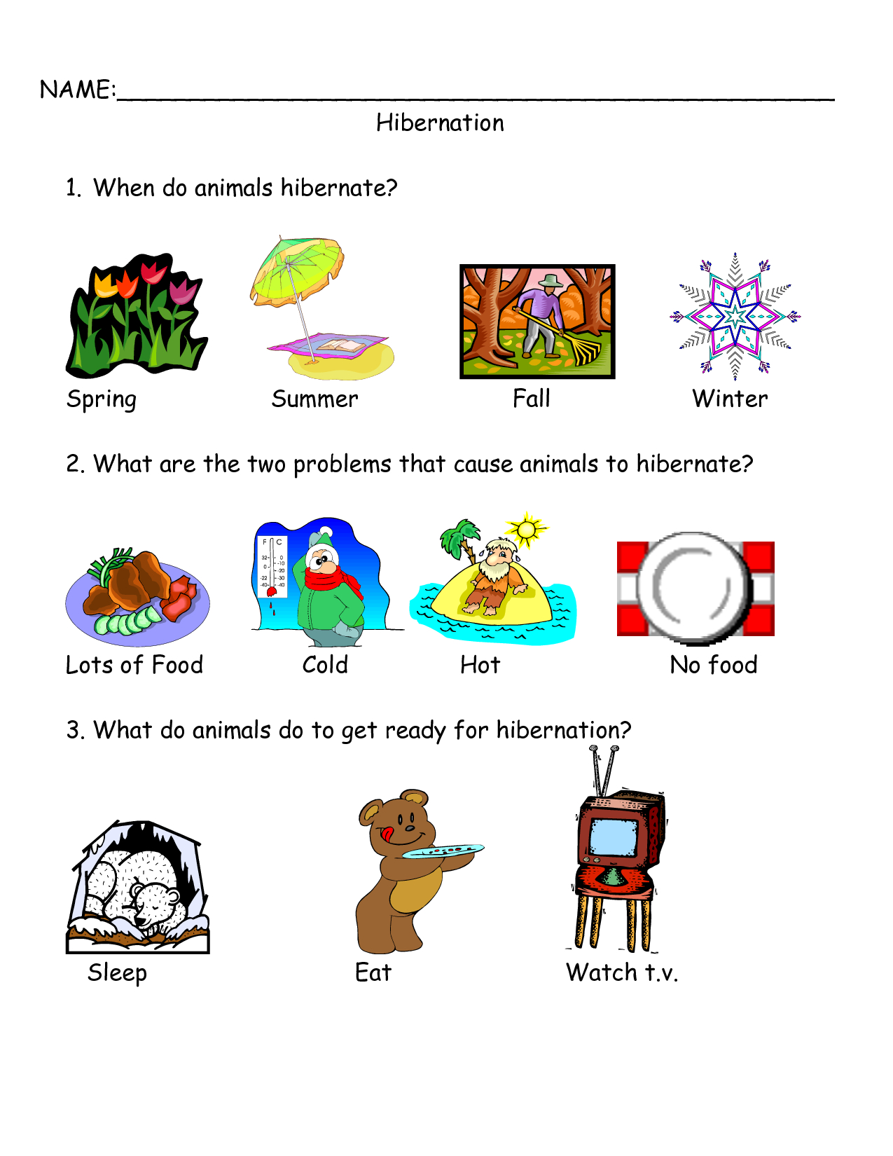 Worksheets On Bear Hibernation - Google Search | Bear Hibernation - Free Printable Hibernation Worksheets