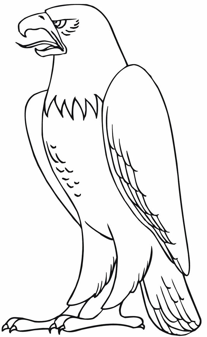 Eagle Template - Animal Templates - Free Printable Eagle Stencils