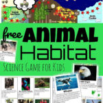 🐘🐪🦍Free Printable Animal Habitat Game – Exploring Biomes For Kids – Animal Habitat Printable