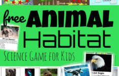 Animal Habitat Printable