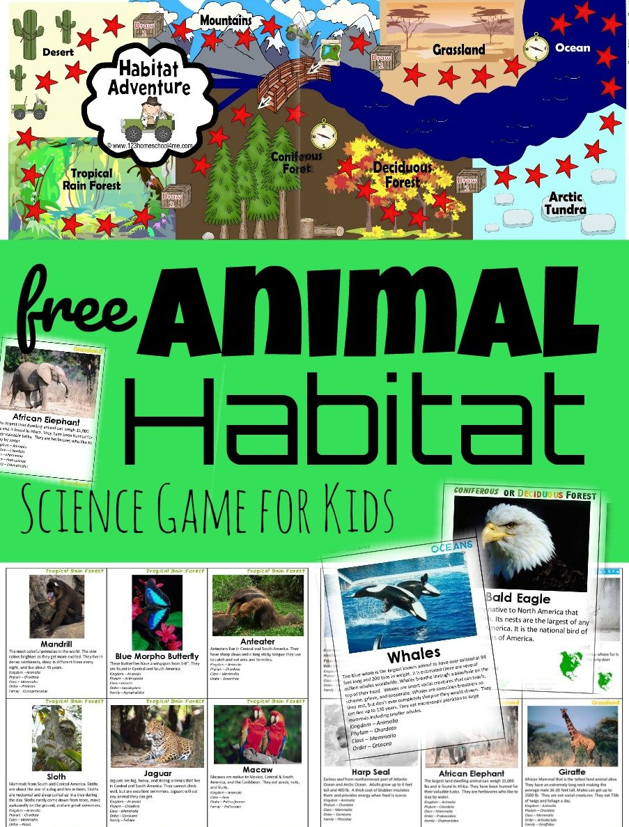 🐘🐪🦍Free Printable Animal Habitat Game – Exploring Biomes For Kids - Animal Habitat Printable