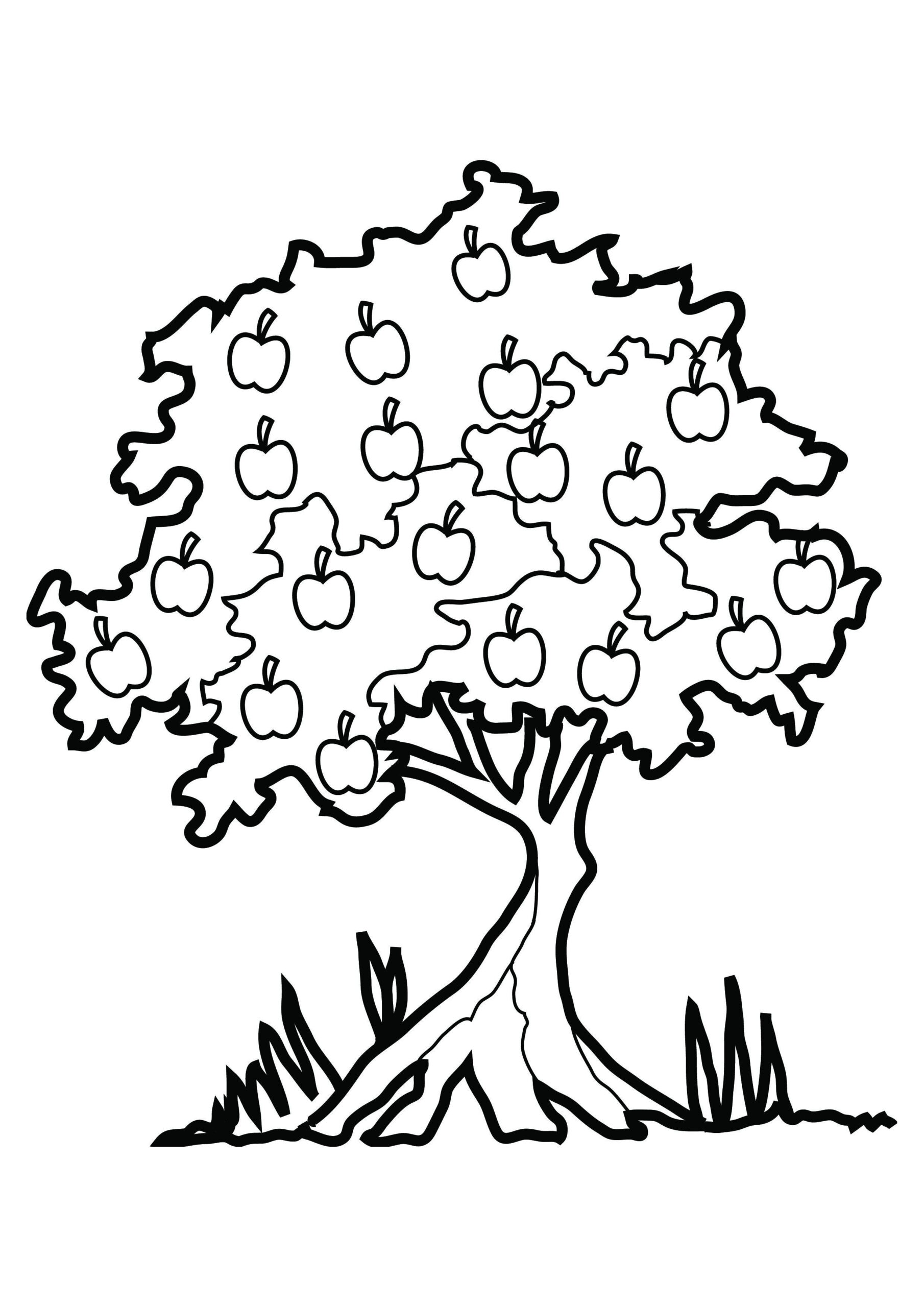Free Printable Tree Coloring Pages For Kids - Free Printable Pictures Of Trees