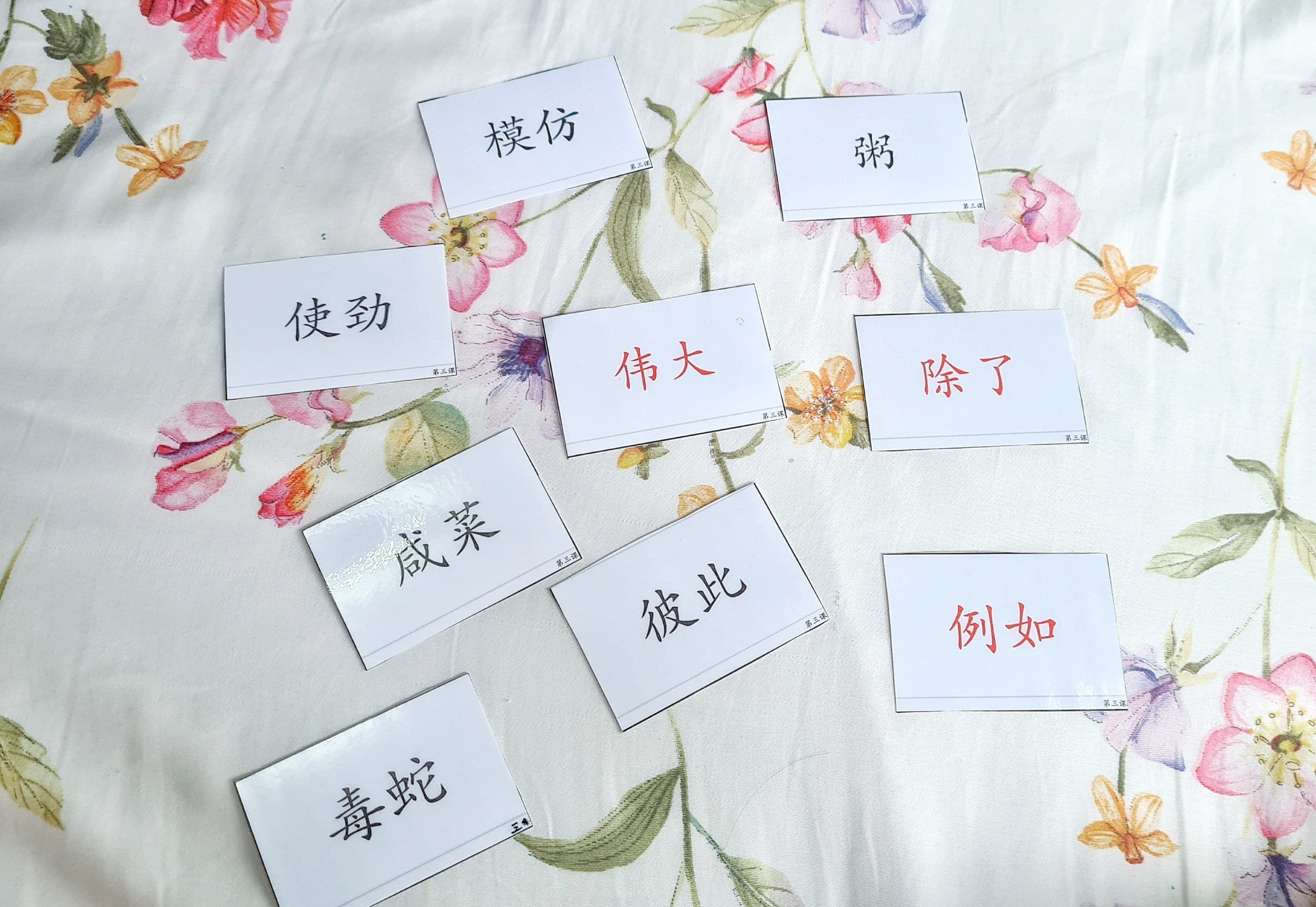 Free Printables - Primary 6 Chinese Flashcards | My Chirpy Life - Free Printable Mandarin Flashcards