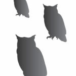 Great Horned Owl Stencil + Free Template Shape Wildlife Bird Country Barn  Diy   Free Printable Country Stencils