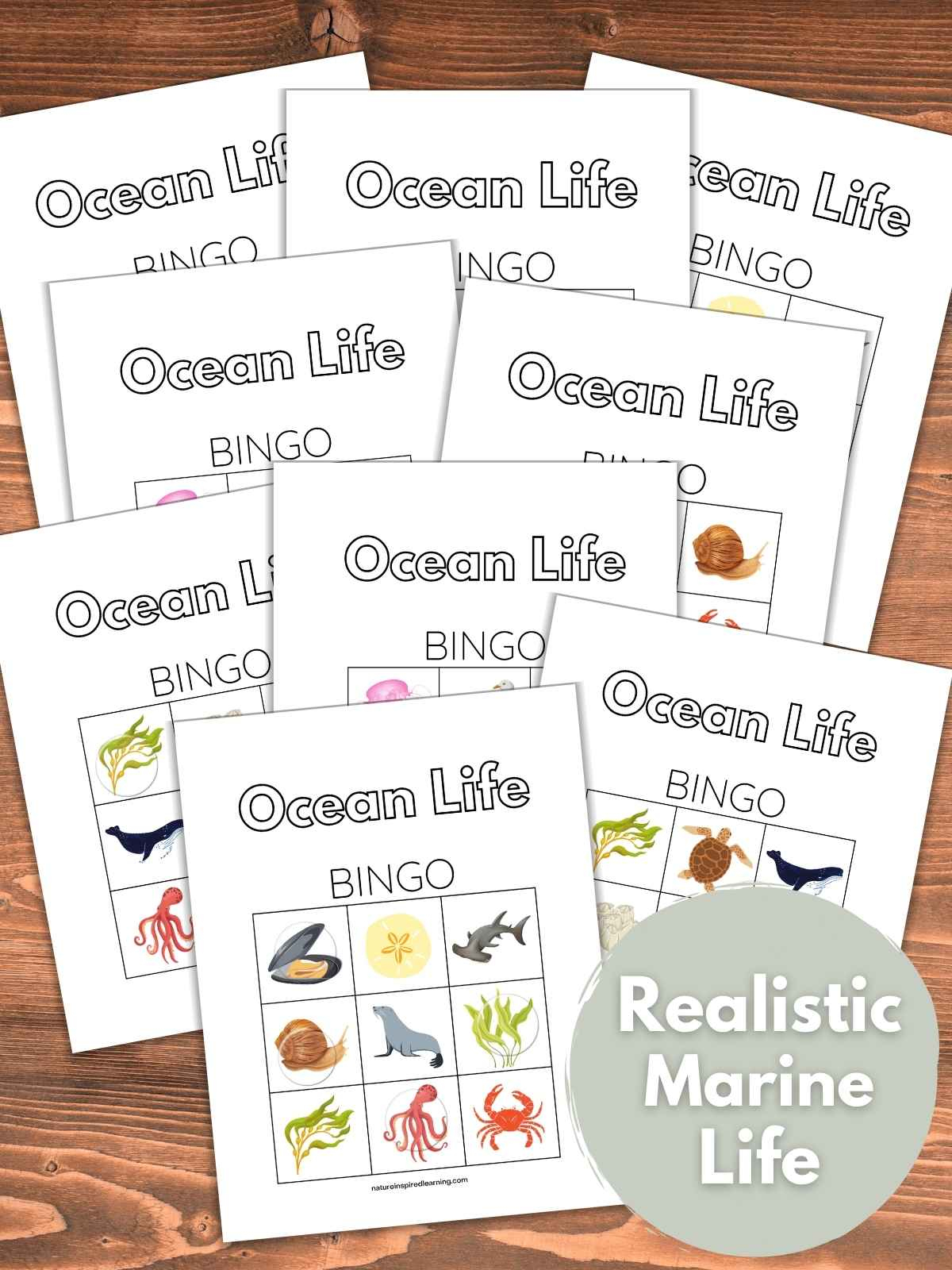 Ocean Life Bingo - Nature Inspired Learning - Free Printable Ocean Bingo Cards