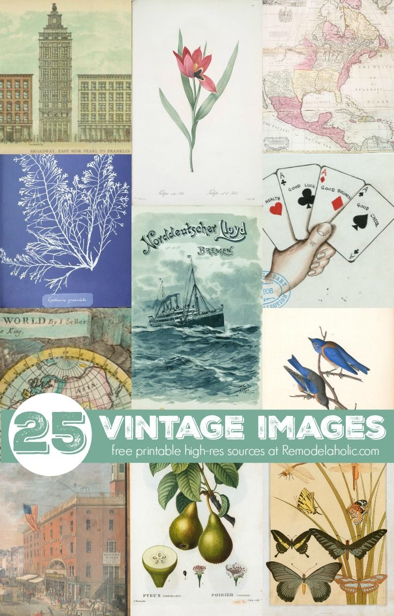 Remodelaholic | 25+ Free Printable Vintage Images | Free Art - Free Printable Images Vintage