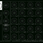 Targets For Download And Printing Within Accurateshooter   Free Printable 100 Yard Targets